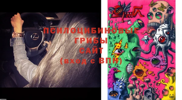 гидра Абдулино