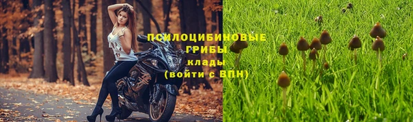 герыч Абинск
