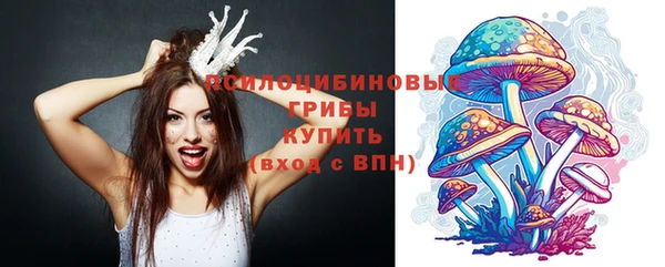 гидра Абдулино
