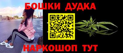 индика Ливны