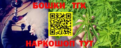 индика Ливны